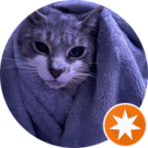 Sir Icky Avatar